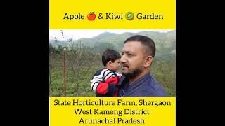 Apple amp Kiwi GardenState Horticulture Farm Shergaon [upl. by Leiser]