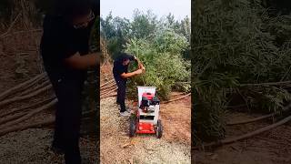 Amazing wood chipper [upl. by Hallvard]