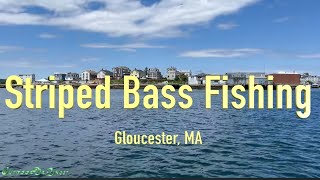 Fishing Series Striped Bass Fishing in Gloucester MA [upl. by Aidnahs]