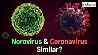 Norovirus vs Coronavirus  Norovirus Symptoms Norovirus Transmission Norovirus Treatment Explained [upl. by Sigmund]