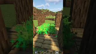 Rabbit TRAP 🐰 in Minecraft もういいよ minecraft shorts [upl. by Ennavoj]