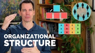 Organizational Structure [upl. by Piks]