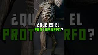 ¿Que es el Protomorfo xenomorph alien [upl. by Bum701]