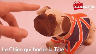 Le chien qui hoche la tête [upl. by Sokim329]