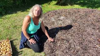 Making A Seaweed Bed For Potatoes Fun To Experiment With Free Ressources  Nordic Food Forest [upl. by Helsell]