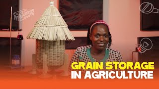 How To Store Grain Safely  Agricultural Science [upl. by Sirret]