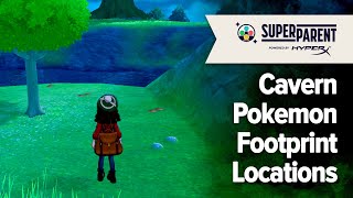 Pokemon Sword and Pokemon Shield  Cavern Pokemon Footprint Locations The Crown Tundra [upl. by Vinn576]