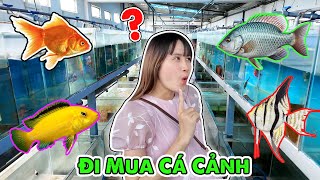 Lạc Vào Trang Trại Cá Cảnh Lớn Nhất Sài Gòn  Vê Vê Channel [upl. by Monagan770]