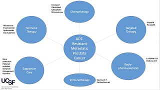 ADTResistant Metastatic Prostate Cancer [upl. by Warrenne]