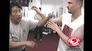 Applications of Hebei Xingyiquan’s Tai Xing with Yizong Bagua’s Master Luo De Xiu [upl. by Ramos]