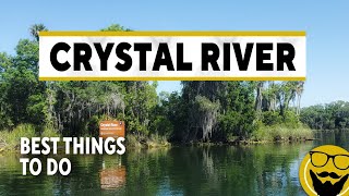 Best Things to See amp Do in Crystal River 2022  How to Swim With Manatees Guide [upl. by Retnuh]