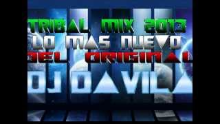 TRIBAL MIX 2013 LO MAS NUEVO [upl. by Cj551]