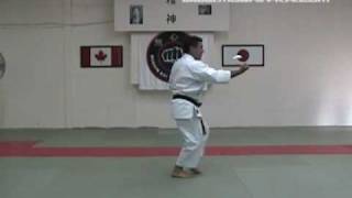 MushinKai International  Junino Kata Shitoryu Karate [upl. by Retsel642]