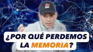 ¿Por qué perdemos la memoria [upl. by Uzzial]