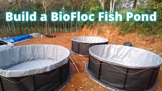 How to Start Biofloc Technology in Tilapia Complete Guide from Pond Construction to Harvest [upl. by Selin]