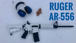 Shooting the Ruger AR556 Talo Exclusive [upl. by Ahsot283]