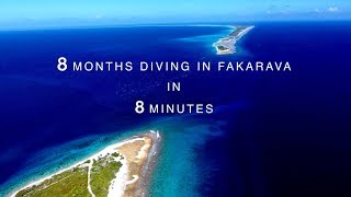 8 Months Diving In Fakarava in 8 Minutes French Polynesia [upl. by Nnair]