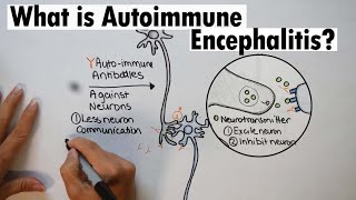 Autoimmune Encephalitis  What is Autoimmune Encephalitis [upl. by Airotna]