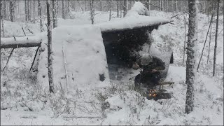 Building Complete Winter Survival Shelter  Wood structure moss roof fireplace Start To Finish [upl. by Ketti30]