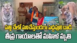 Tiger Attack Claims Womans Life while Working In Cotton Field  Telangana  Samayam Telugu [upl. by Hughmanick592]