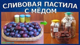 Сливовая пастила с мёдом в сушилке Изидри [upl. by Gelya]