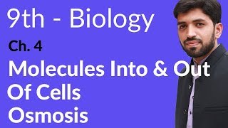 Matric part 1 Biology Osmosis Biology  Ch 4 Cell biology  9th Class Biology [upl. by Satterlee]