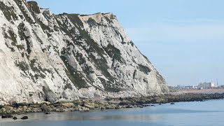 Fishing at Samphire Hoe Kent wrassePollock pouting [upl. by Atlee]