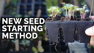 My NEW Favorite Seed Starting Method 🌱🌱🌱 [upl. by Robinia382]