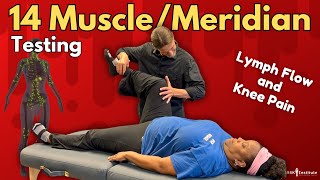 MUSCLEMERIDIAN TESTING for Knee Pain [upl. by Idrahs]