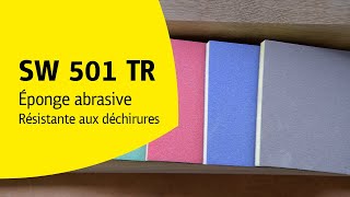 Grande RÉSISTANCE aux DÉCHIRURES   Éponge Abrasive  SW 501 TR  Klingspor FR [upl. by Ahsatak]