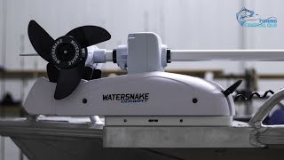 I Bought A Watersnake Electric motor [upl. by Sanderson]