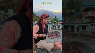 Pahadi Rajma  minivlog food [upl. by Fabrin]