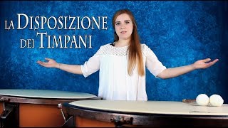 TIMPANI – la disposizione [upl. by Yrro]