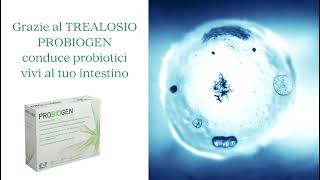 Probiogen  integratore per lintestino [upl. by Yeliak]