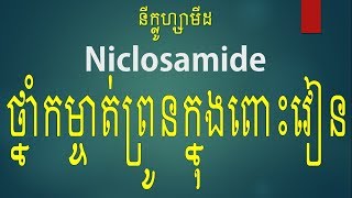 Niclosamide drugនីក្លូហ្សាមីដ​ថ្នាំកម្ចាត់ព្រូនក្នុងពោះវៀន [upl. by Sexela]