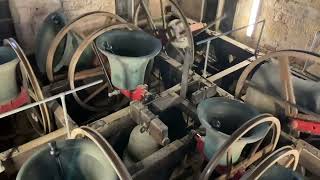 Bell Ringing in the Belfry at Sherborne Abbey [upl. by Robet789]