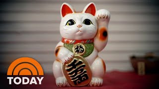 What’s The Story Behind Japan’s Lucky Cats [upl. by Gariepy981]