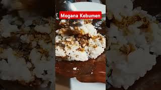 Mogana Kebumenfoodfoodie [upl. by Fondea]