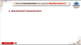 Biochemical Characteristics  what 3 characteristics are used to identify bacteria laboratory [upl. by Ferrand]