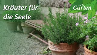 Kräuter für die Seele Heilkräuter zum Stressabbau  MDR Garten [upl. by Dopp225]