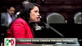 Dip Sonia Mercado PRI  Código Civil Federal y Código Federal de Procedimientos Civiles [upl. by Yarised748]