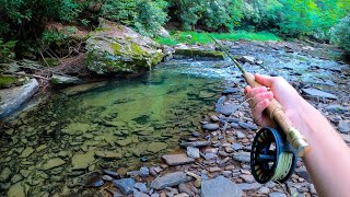 The BEST Brook Trout Stream Ive Ever Fished Crystal Clear Water [upl. by Nart]