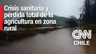 Catástrofe en María Pinto Desborde de canal destruye viviendas y afecta la agricultura [upl. by Ylrad46]