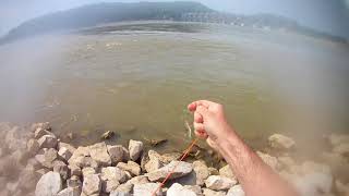 Bowfishing Ohio River Cannelton Dam 6818 [upl. by Klarrisa263]