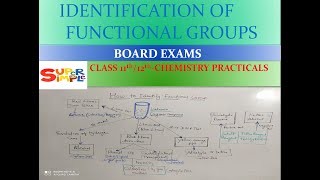 Identification of functional groups  class 11 12th chemistry practical  board exams [upl. by Amoakuh181]