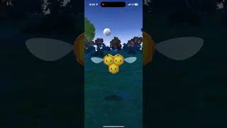 Catching Nihilego Combee amp Teddiursa  Pokémon Go uncut [upl. by Ahgiela]