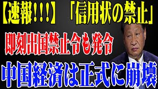 【衝撃発表】中国経済が正式に崩壊！信用状禁止で大混乱！出国禁止令も発令され、習近平政権の終焉が近い！【専門家の分析】 [upl. by Friederike75]