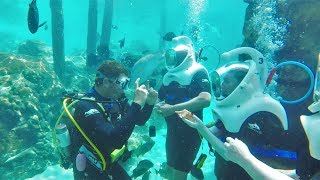 SeaVenture Underwater Walking Tour Discovery Cove SeaWorld Orlando Resort [upl. by Hal]