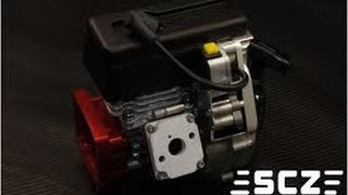 SCZ E290 29CC Reed Engine Desktop Review for Baja Install [upl. by Gerty]