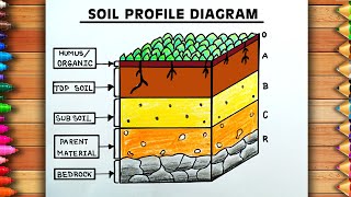 Soil Profile Diagram Easy  Layers Of Soil Chart  Layers of Soil Drawing  Diagram Of Soil Profile [upl. by Atauqal724]